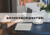 加拿大的区块链公司[加拿大产业链]